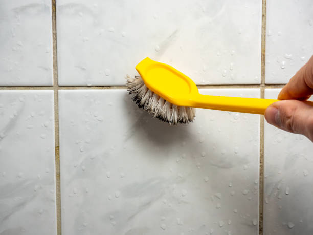 Best Local Mold Removal Service  in Kiln, MS