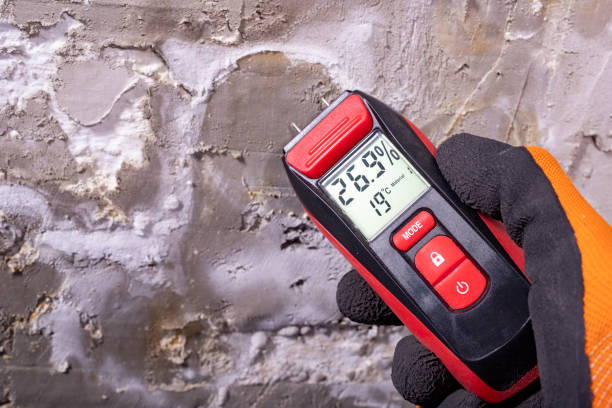 Best Certified Mold Removal  in Kiln, MS