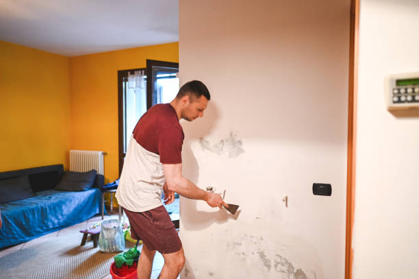 Best Black Mold Removal  in Kiln, MS